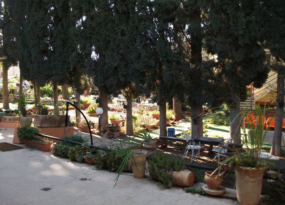 Safed Inn Exteriör bild